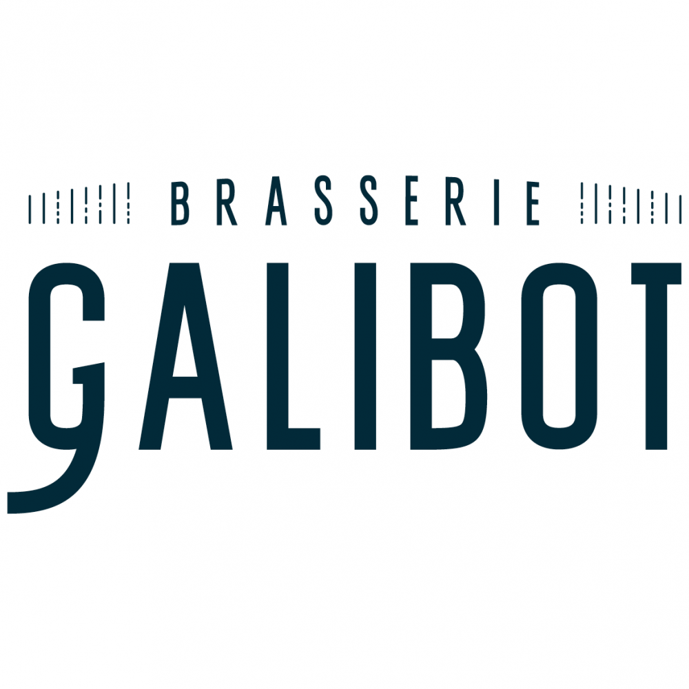 LBF5-Gabarit logo site